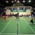 PalaBadminton. Area di gioco