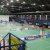PalaBadminton. Area di gioco