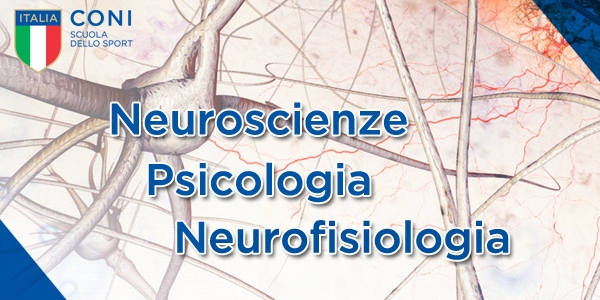 NeuroScienze.png