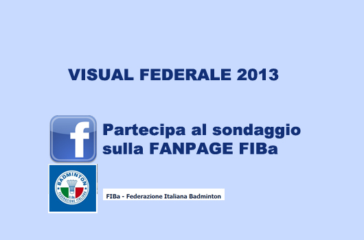 SONDAGGIOVISUAL2013jpg